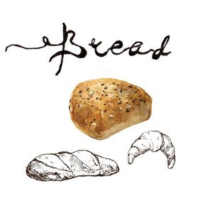 面包,烘焙产品水彩画和钢笔素描与文字.